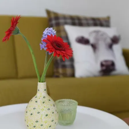 Vakantiehuis B&b&vakantiewoningen - Buitenverblijf Huiskenshof Zuid-limburg *