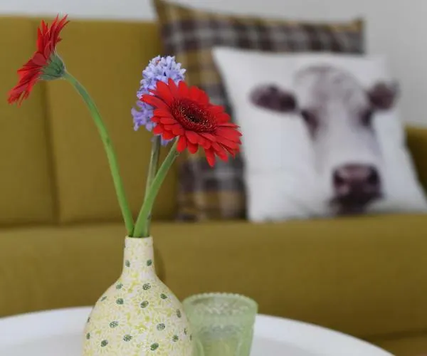 別荘 - Buitenverblijf Huiskenshof Zuid-limburg *